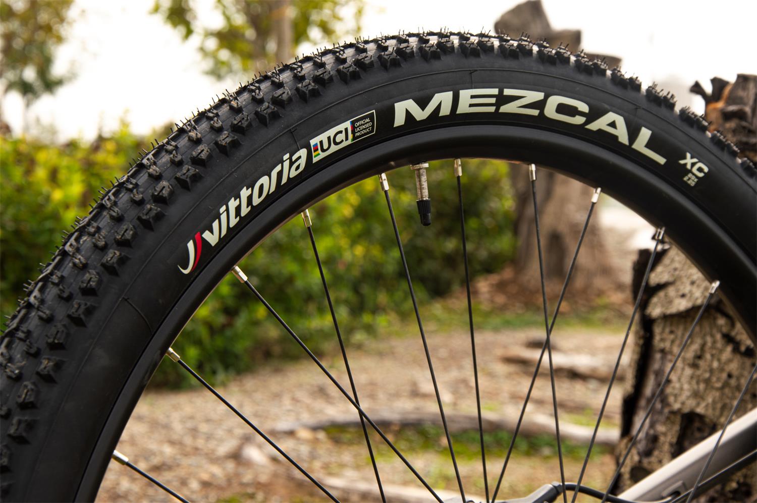 Mezcal UCI Rear Wheel