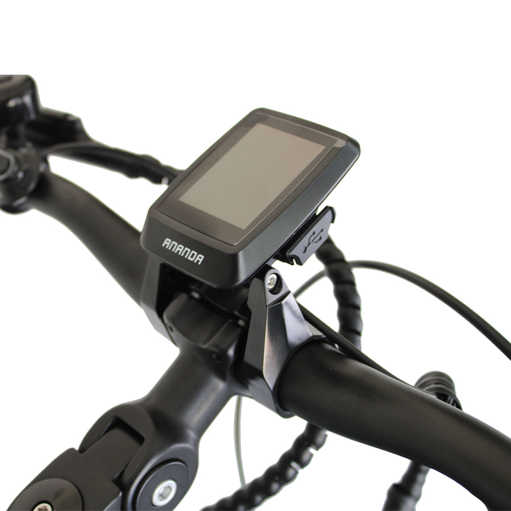 WATT WHEELS E-BIG HORN  LOW STEP  MID DRIVE (2023 )